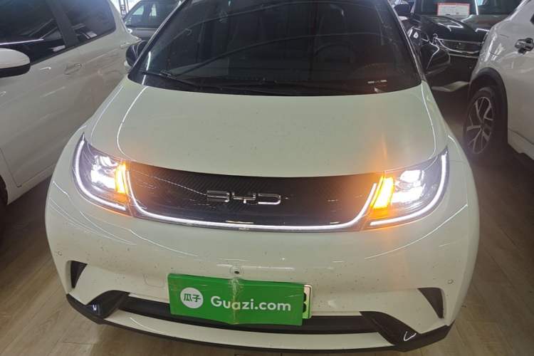 BYD Dolphin 2023 — 2