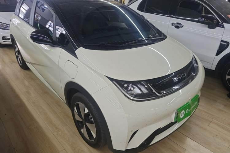BYD Dolphin 2023 — 3