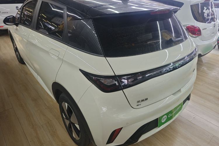 BYD Dolphin 2023 — 4