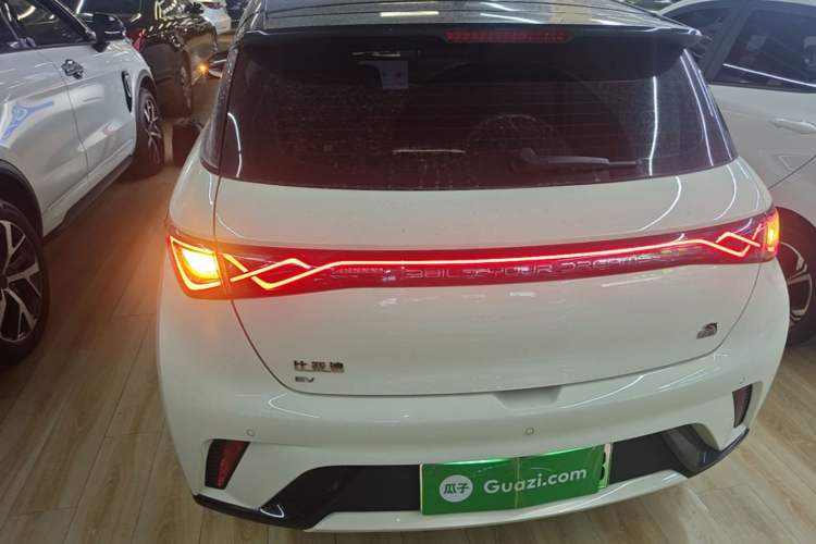 BYD Dolphin 2023 — 5