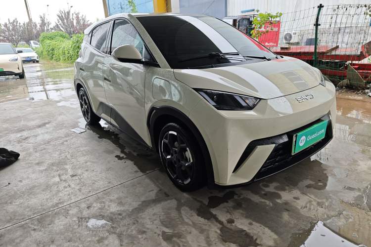 BYD Dolphin Mini 2025 — фото 3