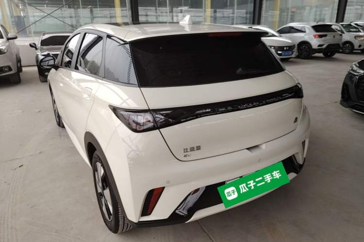 BYD Dolphin 2023 — 4