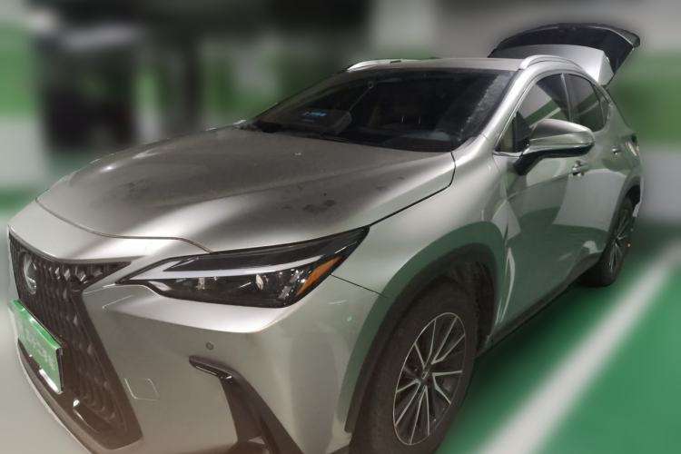 Lexus nx 2024 — фото 1
