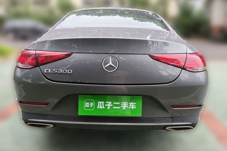Mercedes-Benz benz cls 2020 — фото 3
