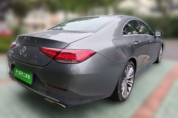 Mercedes-Benz benz cls 2020 — фото 4