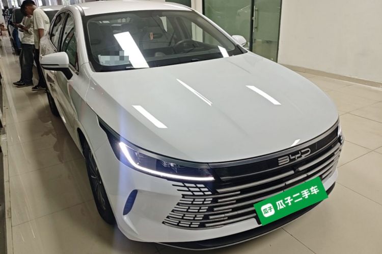 BYD Destroyer 05 2024 — 3