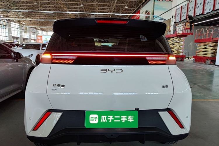 BYD Dolphin Mini 2025 — 5