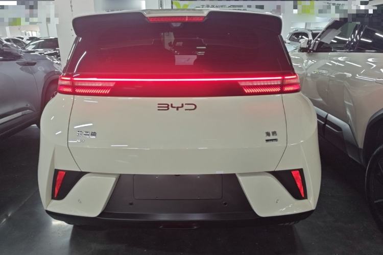 BYD Seagull 2025 — 5