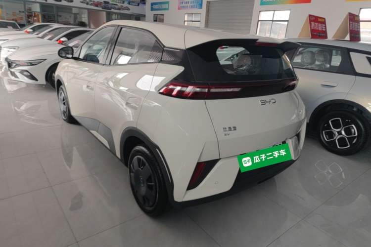BYD Seagull 2025 — 4