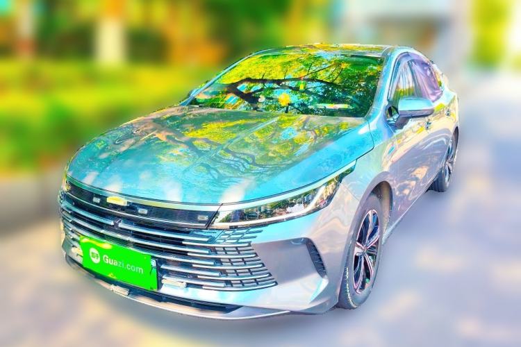 BYD Destroyer 05 2024 — фото 1