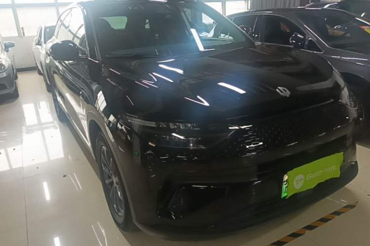 Leapmotor C11 2023 — 3