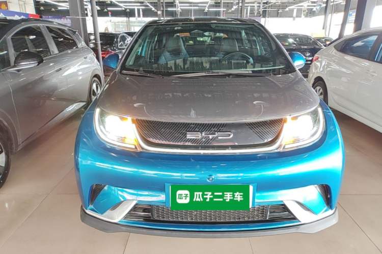 BYD Dolphin 2021 — 2