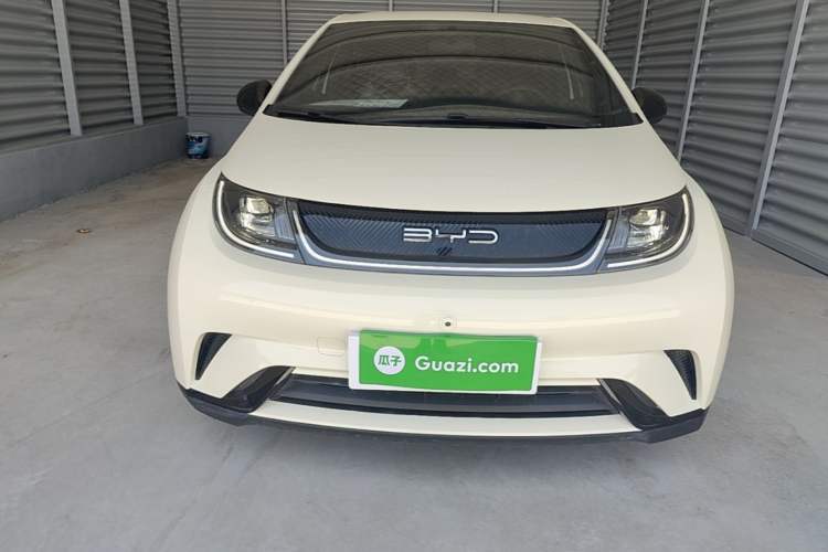 BYD Dolphin 2023 — 2