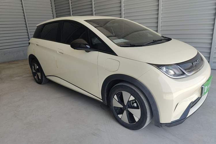 BYD Dolphin 2023 — 3