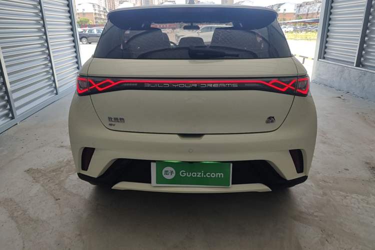 BYD Dolphin 2023 — 5