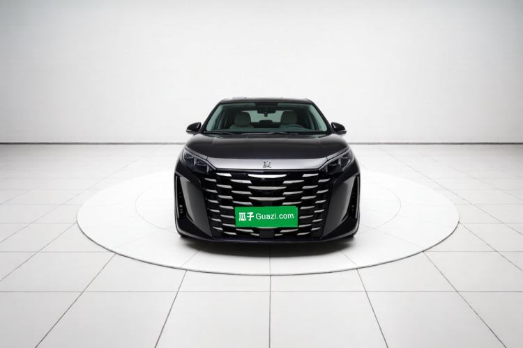 BYD Xia 2025 — 2