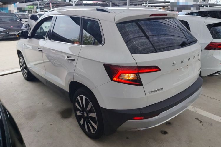 Skoda karoq 2020 — фото 4