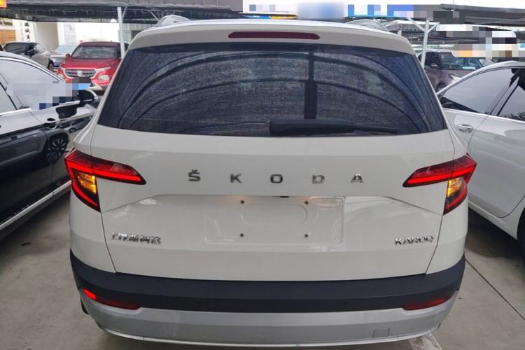 Skoda karoq 2020 — фото 5