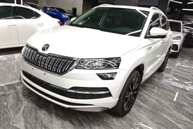 Skoda karoq 2024 — фото 1