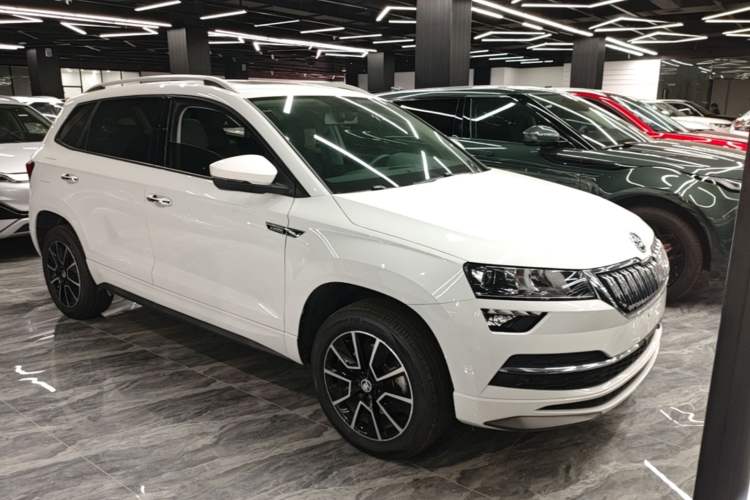 Skoda karoq 2024 — фото 3