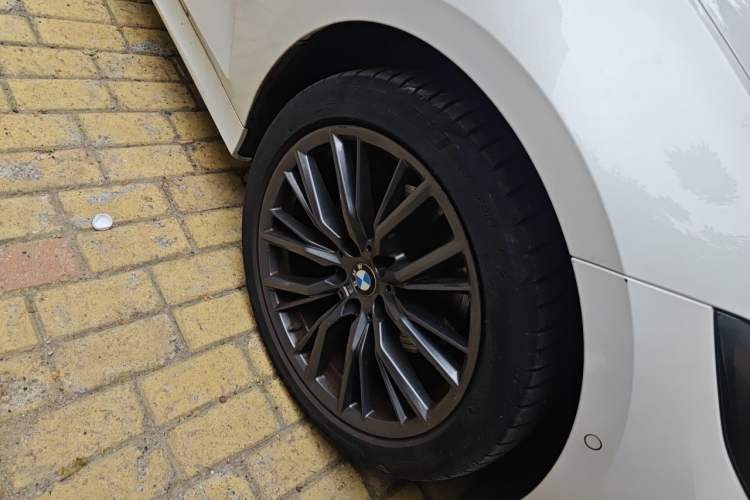 BMW 325Li 2020 — 5