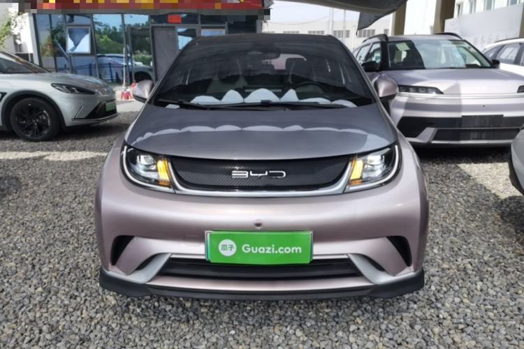 BYD Dolphin 2021 — 2
