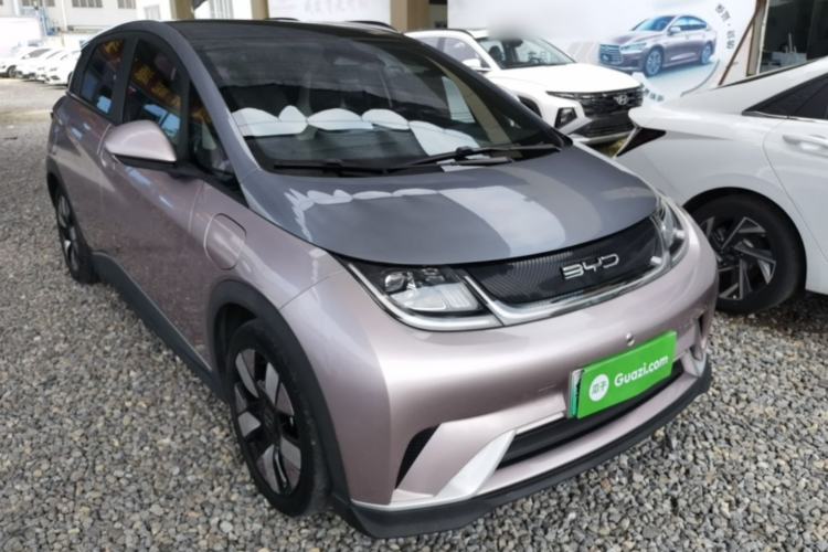 BYD Dolphin 2021 — 3
