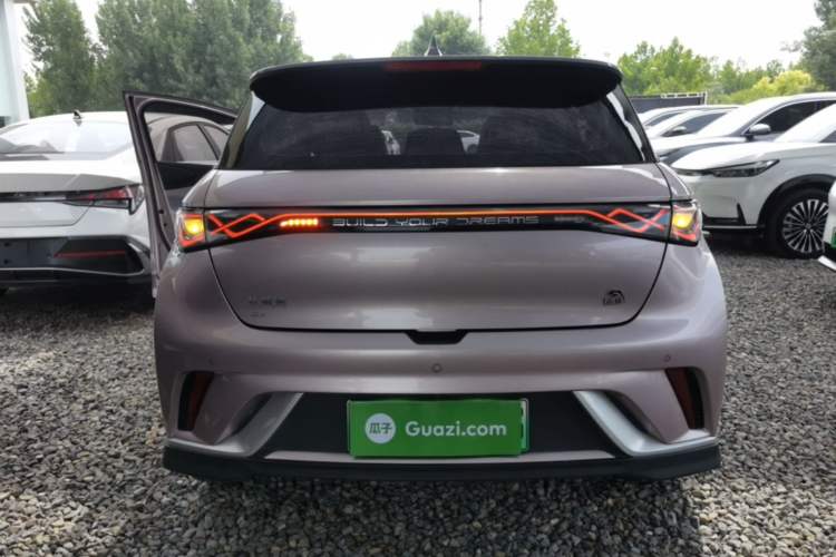 BYD Dolphin 2021 — 5