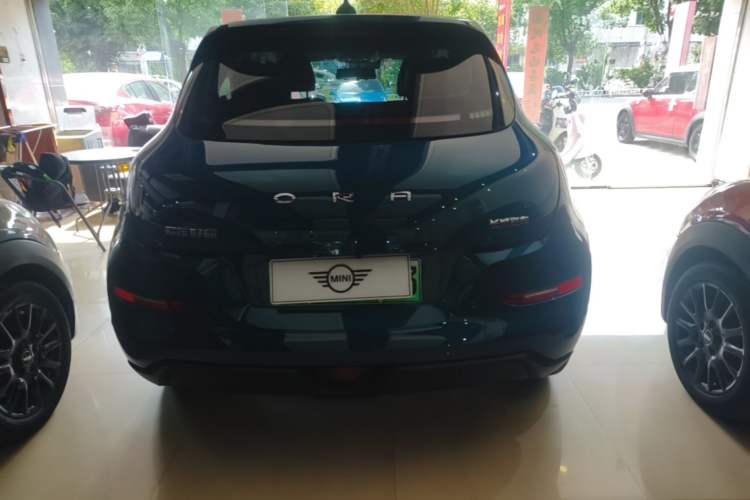 Ora Good Cat 2023 — 5