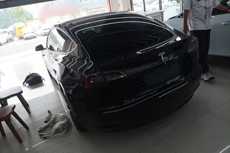 Tesla Model 3 2021 — 4