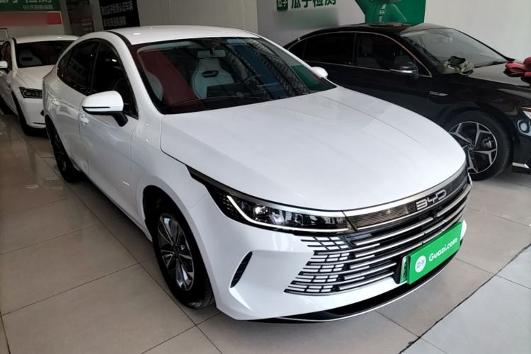 BYD Destroyer 05 2024 — 3