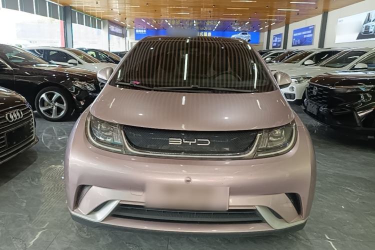 BYD Dolphin 2021 — 2