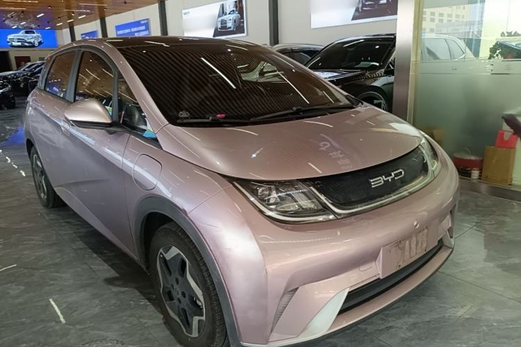 BYD Dolphin 2021 — 3