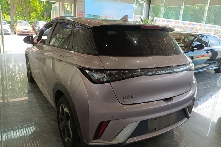 BYD Dolphin 2021 — 4