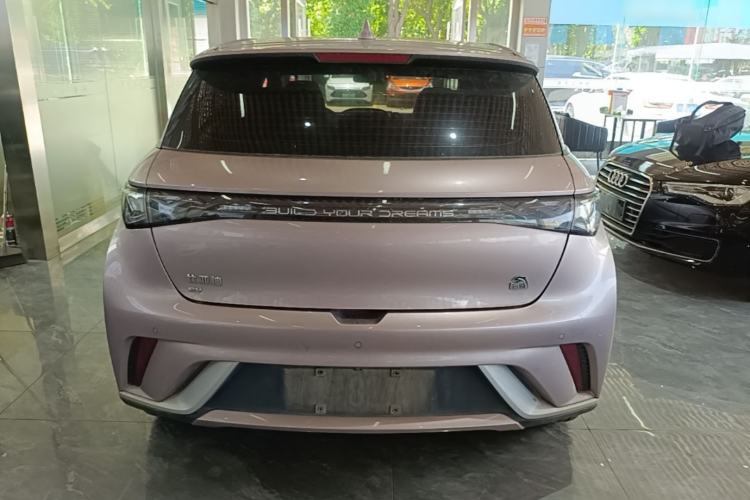 BYD Dolphin 2021 — 5