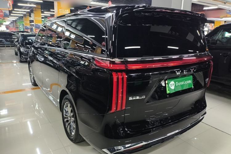 WEY Gaoshan 2025 — 4