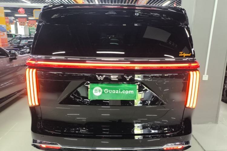 WEY Gaoshan 2025 — 5