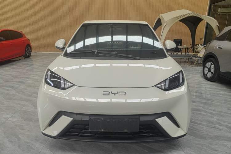 BYD Dolphin Mini 2025 — 2