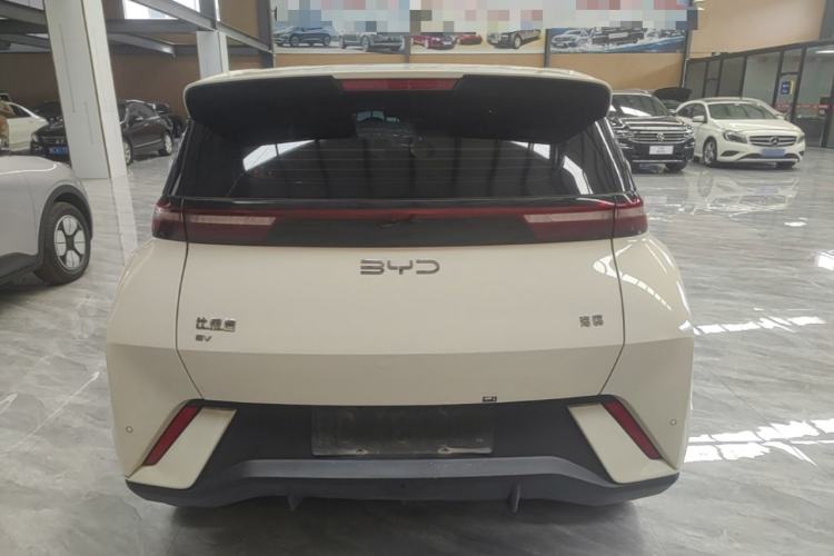 BYD Dolphin Mini 2025 — 5