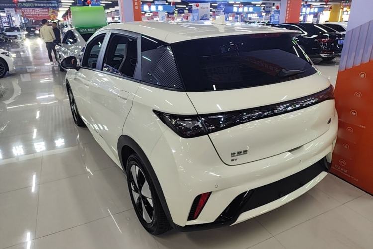 BYD Dolphin 2023 — 4