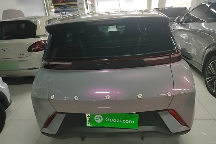 BYD Seagull 2024 — 5