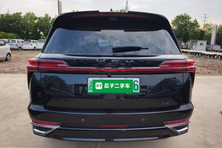WEY Lanshan 2025 — 5