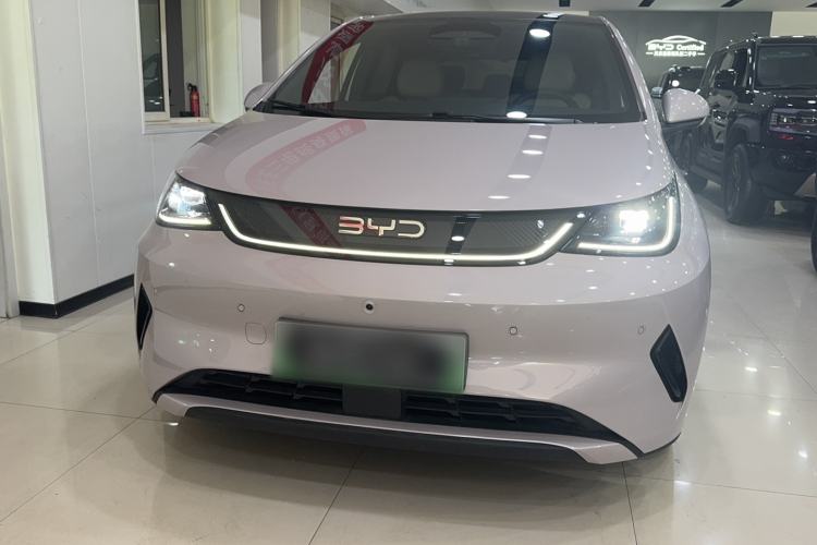 BYD Dolphin 2025 — 3