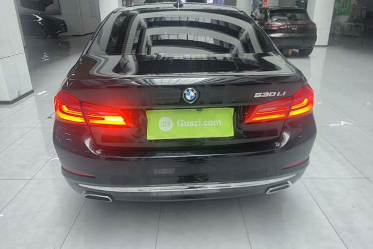 BMW 530Li 2020 — 5