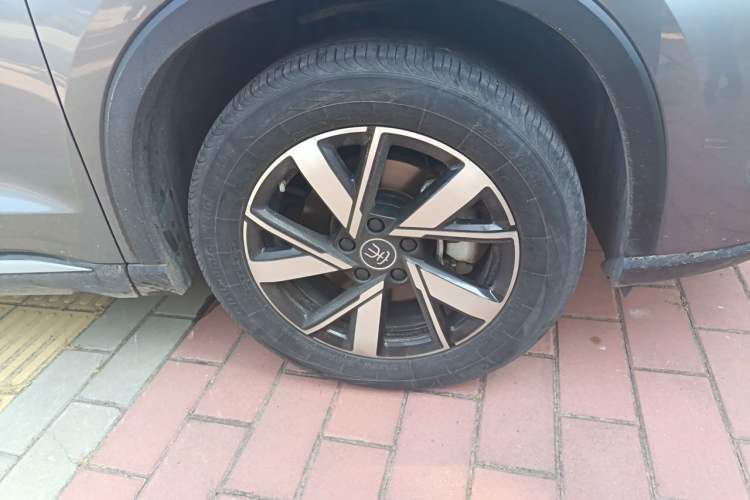 BYD song pro new energy 2023 — фото 2
