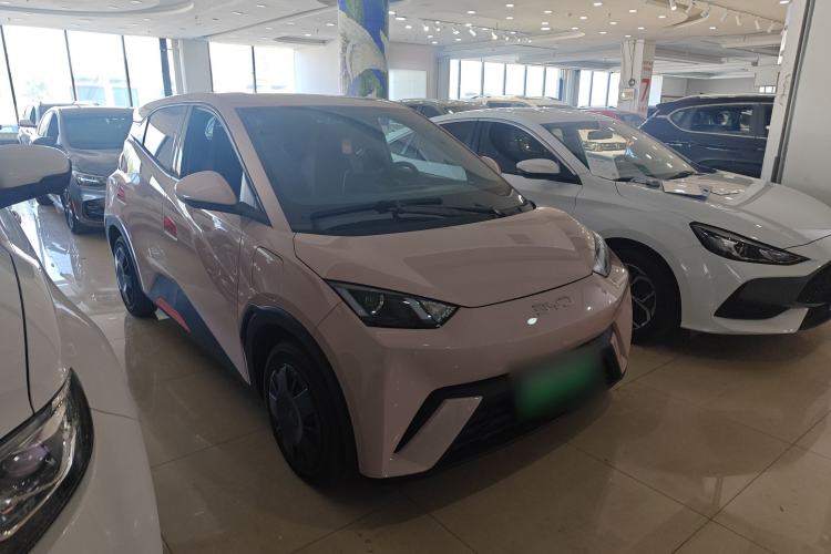 BYD Seagull 2024 — 5