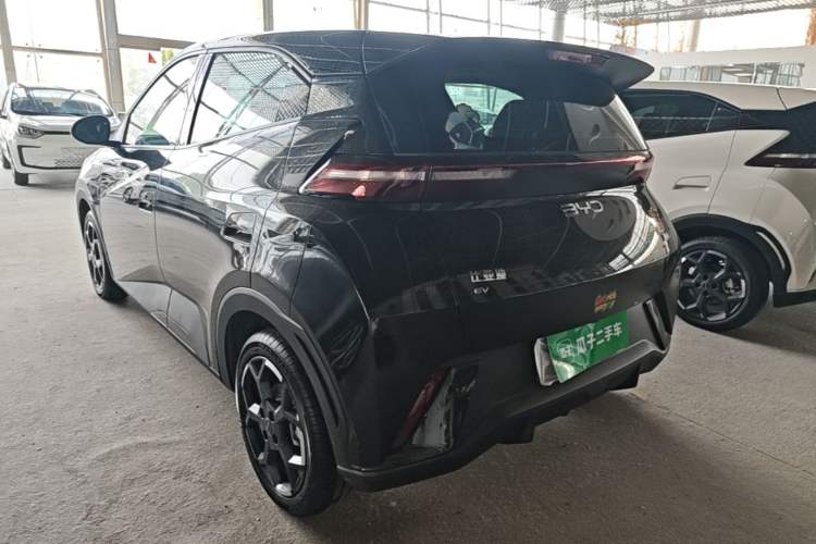 BYD Seagull 2024 — 4