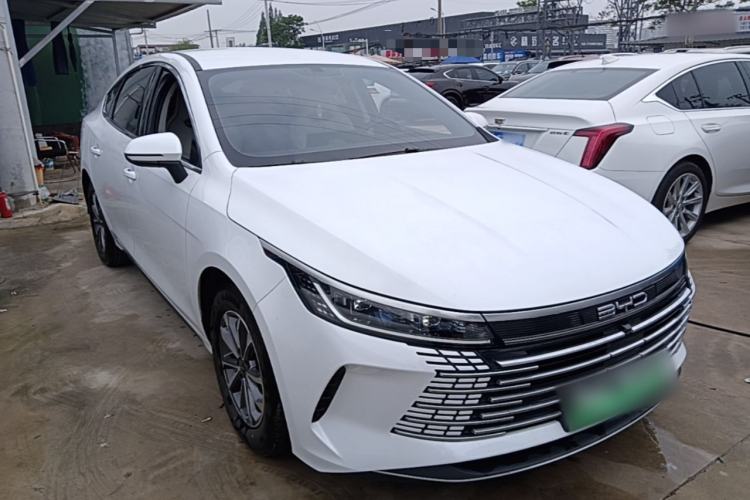 BYD Destroyer 05 2024 — 3