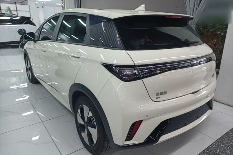BYD Dolphin 2023 — 4