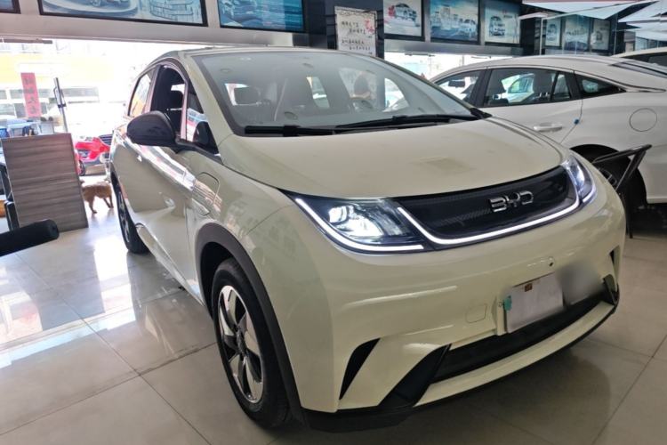 BYD Dolphin 2025 — 3